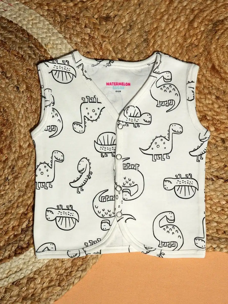 Dinosaurs Printed Baby Jabla