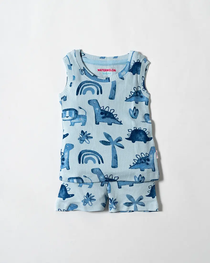 Blue Dino Adventure Sleeveless Co-Ord Set