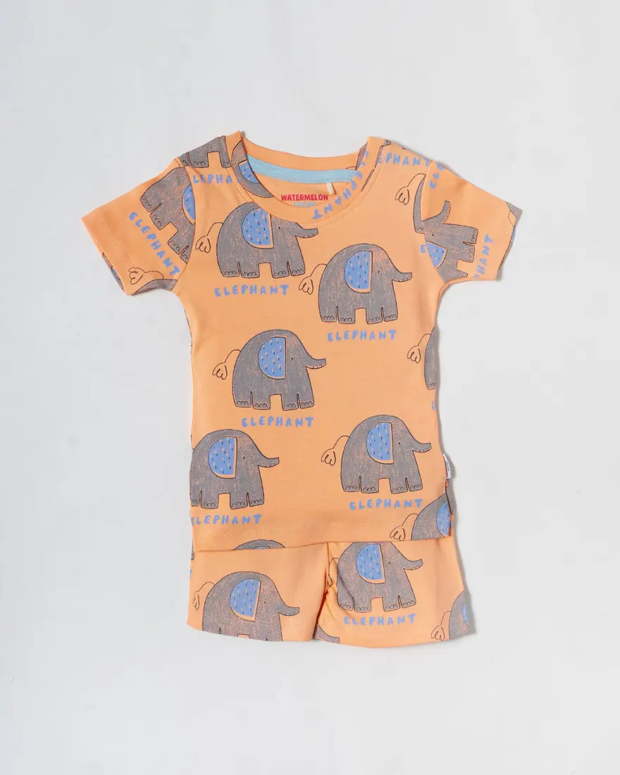 Peachy Elephant Parade Co-ord Set